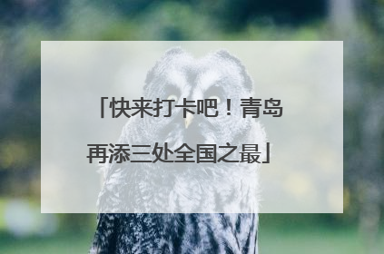 快来打卡吧！青岛再添三处全国之最