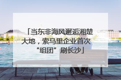 当东非海风邂逅湘楚大地，索马里企业首次“组团”刷长沙