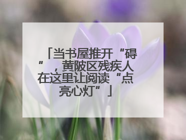 当书屋推开“碍”，黄陂区残疾人在这里让阅读“点亮心灯”
