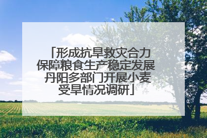 形成抗旱救灾合力 保障粮食生产稳定发展 丹阳多部门开展小麦受旱情况调研