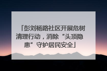 彭刘杨路社区开展危树清理行动，消除“头顶隐患”守护居民安全