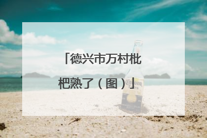 德兴市万村枇杷熟了（图）