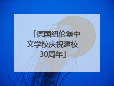 德国纽伦堡中文学校庆祝建校30周年
