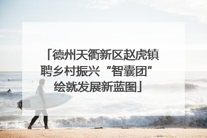 德州天衢新区赵虎镇聘乡村振兴“智囊团” 绘就发展新蓝图
