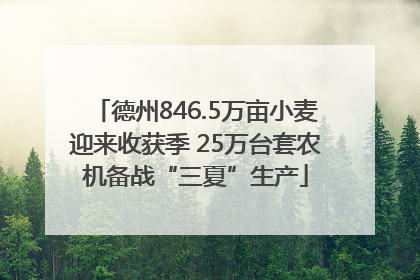 德州846.5万亩小麦迎来收获季 25万台套农机备战“三夏”生产