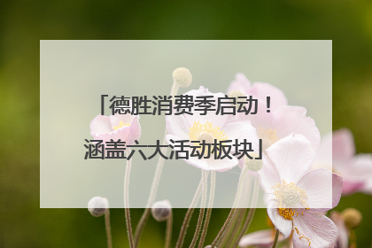 德胜消费季启动！涵盖六大活动板块