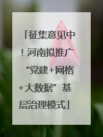 征集意见中！河南拟推广“党建+网格+大数据”基层治理模式