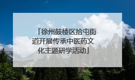 徐州鼓楼区拾屯街道开展传承中医药文化主题研学活动