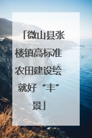 微山县张楼镇高标准农田建设绘就好“丰”景
