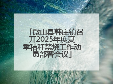 微山县韩庄镇召开2025年度夏季秸秆禁烧工作动员部署会议