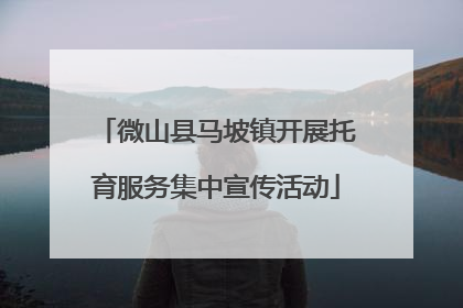 微山县马坡镇开展托育服务集中宣传活动