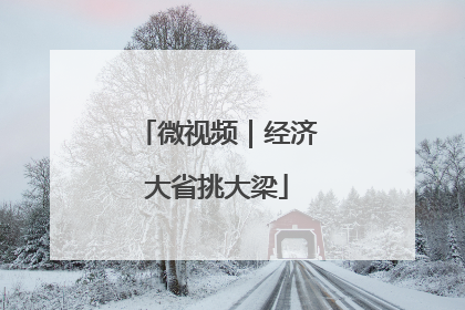 微视频｜经济大省挑大梁