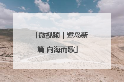 微视频｜鹭岛新篇 向海而歌