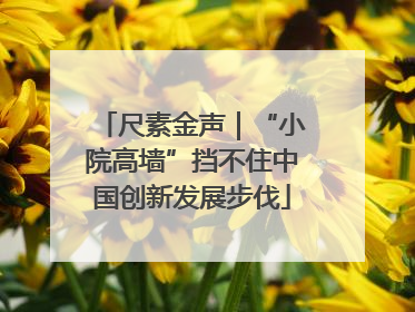 尺素金声｜“小院高墙”挡不住中国创新发展步伐