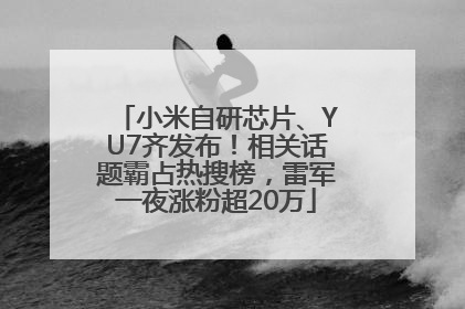 小米自研芯片、YU7齐发布！相关话题霸占热搜榜，雷军一夜涨粉超20万
