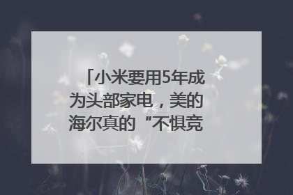 小米要用5年成为头部家电，美的海尔真的“不惧竞争”？｜热财经