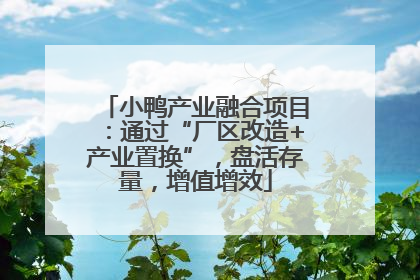 小鸭产业融合项目：通过“厂区改造+产业置换”，盘活存量，增值增效