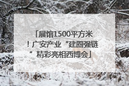 展馆1500平方米！广安产业“建圈强链”精彩亮相西博会