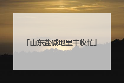 山东盐碱地里丰收忙