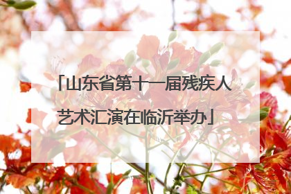 山东省第十一届残疾人艺术汇演在临沂举办