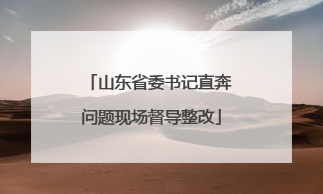 山东省委书记直奔问题现场督导整改