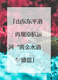 山东东平港：再现京杭运河“黄金水道”盛景