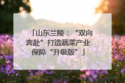 山东兰陵：“双向奔赴”打造蔬菜产业保障“升级版”