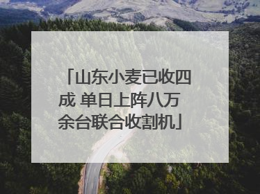山东小麦已收四成 单日上阵八万余台联合收割机
