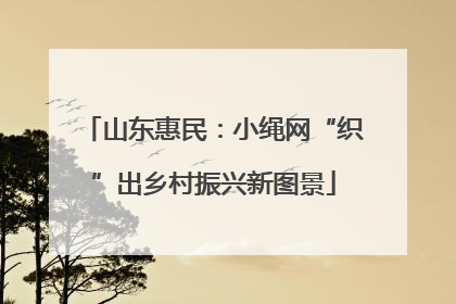 山东惠民：小绳网“织”出乡村振兴新图景