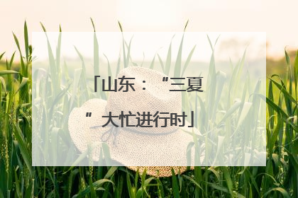 山东：“三夏”大忙进行时