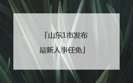 山东1市发布最新人事任免