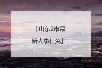 山东2市最新人事任免