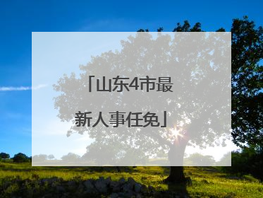 山东4市最新人事任免
