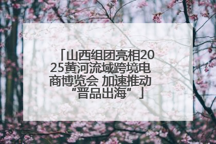 山西组团亮相2025黄河流域跨境电商博览会 加速推动“晋品出海”