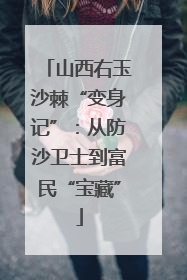 山西右玉沙棘“变身记”：从防沙卫士到富民“宝藏”