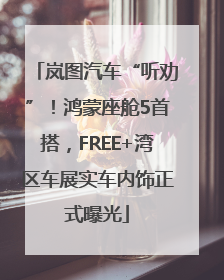 岚图汽车“听劝”！鸿蒙座舱5首搭，FREE+湾区车展实车内饰正式曝光