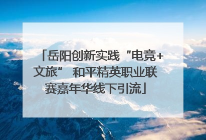岳阳创新实践“电竞+文旅” 和平精英职业联赛嘉年华线下引流