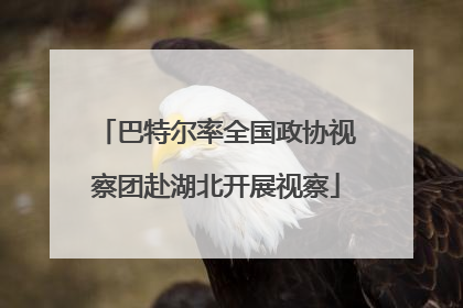 巴特尔率全国政协视察团赴湖北开展视察