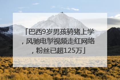 巴西9岁男孩骑猪上学，风驰电掣视频走红网络，粉丝已超125万