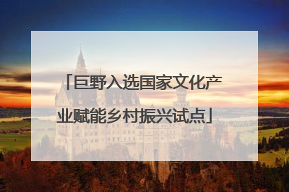 巨野入选国家文化产业赋能乡村振兴试点