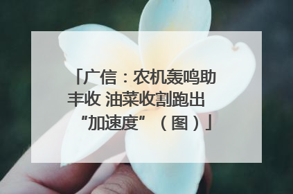 广信：农机轰鸣助丰收 油菜收割跑出“加速度”（图）