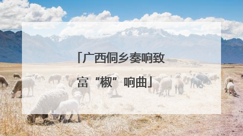 广西侗乡奏响致富“椒”响曲