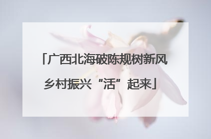 广西北海破陈规树新风 乡村振兴“活”起来