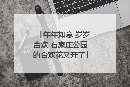 年年如意 岁岁合欢 石家庄公园的合欢花又开了