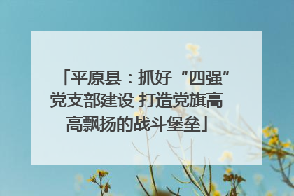 平原县：抓好“四强”党支部建设 打造党旗高高飘扬的战斗堡垒