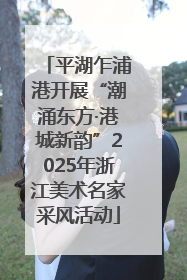 平湖乍浦港开展“潮涌东方·港城新韵”2025年浙江美术名家采风活动