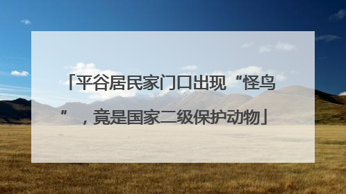 平谷居民家门口出现“怪鸟”，竟是国家二级保护动物