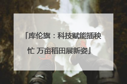 库伦旗：科技赋能插秧忙 万亩稻田展新姿