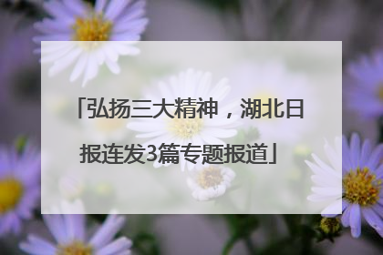弘扬三大精神，湖北日报连发3篇专题报道