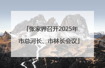张家界召开2025年市总河长、市林长会议